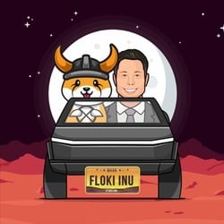 FLOKI币/Floki Inu
