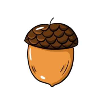 Nut Finance/NUT
