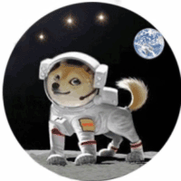 DOGZ币(太空狗)是什么币种？