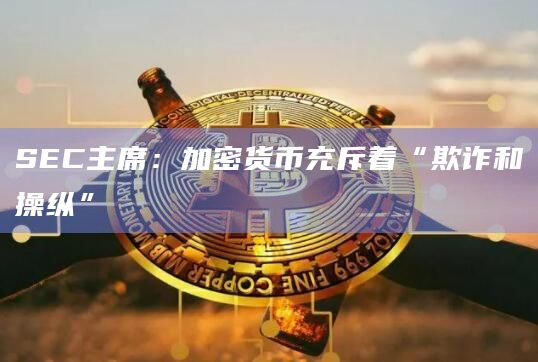 SEC主席：加密货币充斥着“欺诈和操纵”