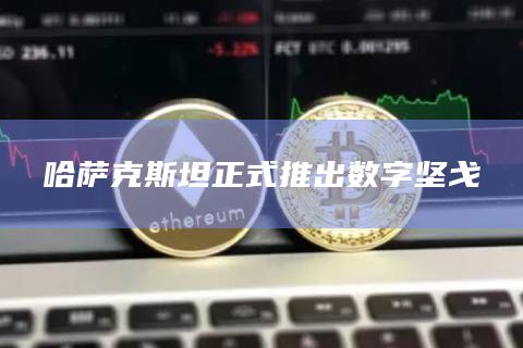 哈萨克斯坦正式推出数字坚戈