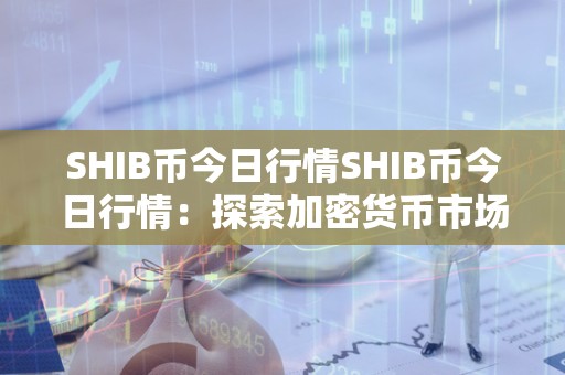 SHIB币市场前景