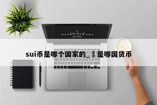 sui币是哪个国家的_€是哪国货币