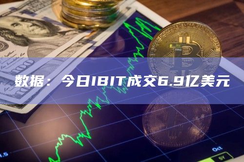 数据：今日IBIT成交6.9亿美元