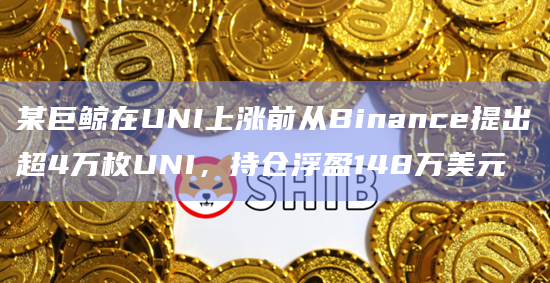 某巨鲸在UNI上涨前从Binance提出超4万枚UNI，持仓浮盈148万美元