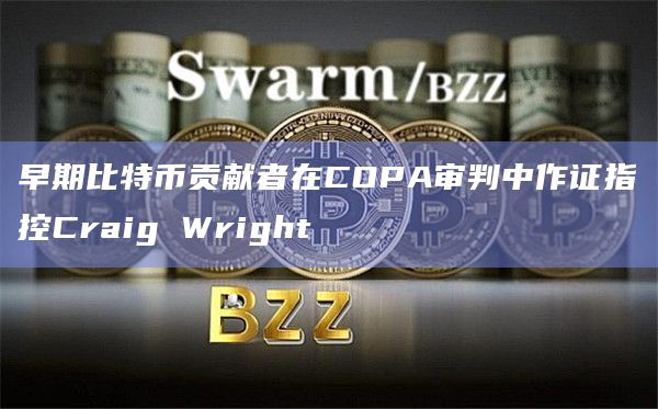 早期比特币贡献者在COPA审判中作证指控Craig Wright