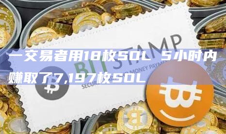 一交易者用18枚SOL 5小时内赚取了7,197枚SOL