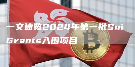 2024年第一批Sui Grants入围项目