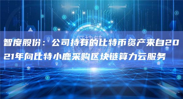 智度股份：公司持有的比特币资产来自2021年向比特小鹿采购区块链算力云服务