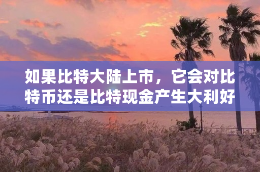 如果比特大陆上市，它会对比特币还是比特现金产生大利好，为什么（比特币乌龙指）