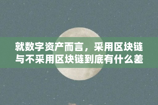 就数字资产而言，采用区块链与不采用区块链到底有什么差异（数字资产区块链是什么意思）
