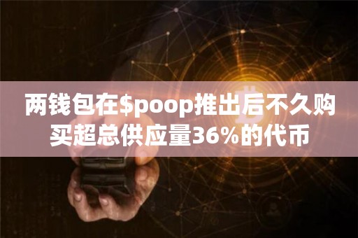 两钱包在$poop推出后不久购买超总供应量36%的代币