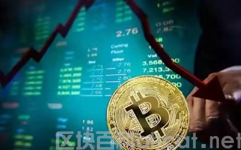新手怎么买币最划算?新手小编买币指南详解教程