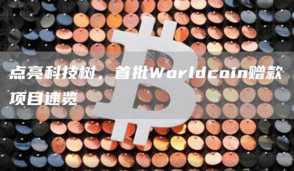 点亮科技树，首批Worldcoin赠款项目速览
