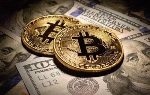 新热门币种$PEEN在DEX平台成为市场新宠?