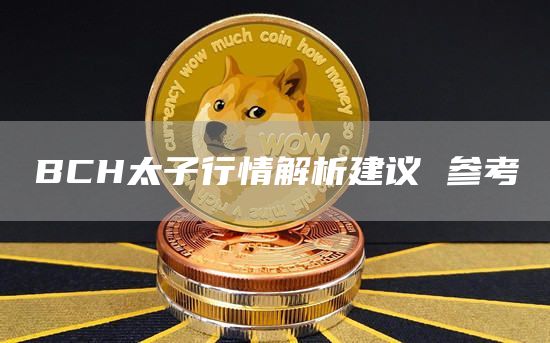 BCH币行情解析
