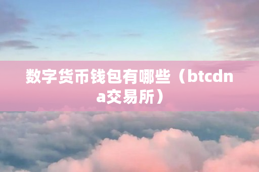 数字货币钱包有哪些（btcdna交易所）