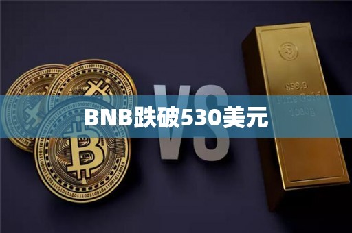BNB跌破530美元