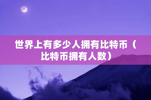 世界上有多少人拥有比特币（比特币拥有人数）