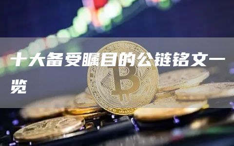 十大备受瞩目的公链铭文一览