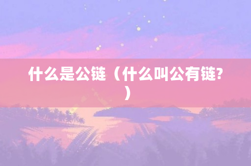 什么是公链（什么叫公有链?）