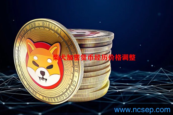 Meme代币的兴起