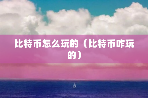 比特币怎么玩的（比特币咋玩的）