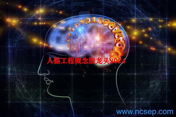 人脑工程概念股龙头2024