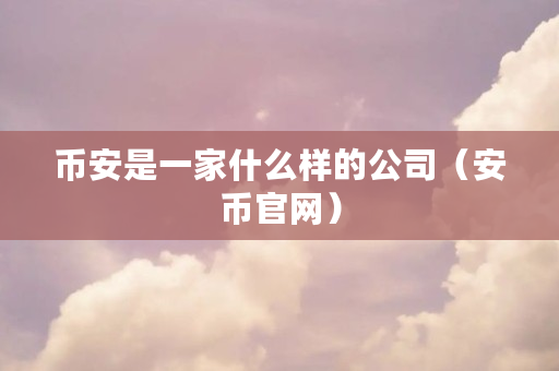 币安是一家什么样的公司（安币官网）