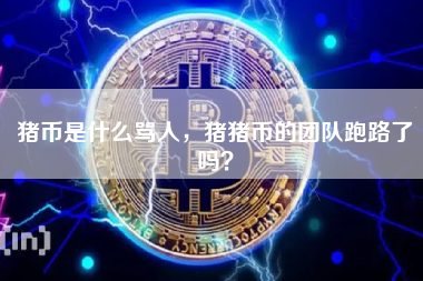 猪币是什么骂人，猪猪币的团队跑路了吗？