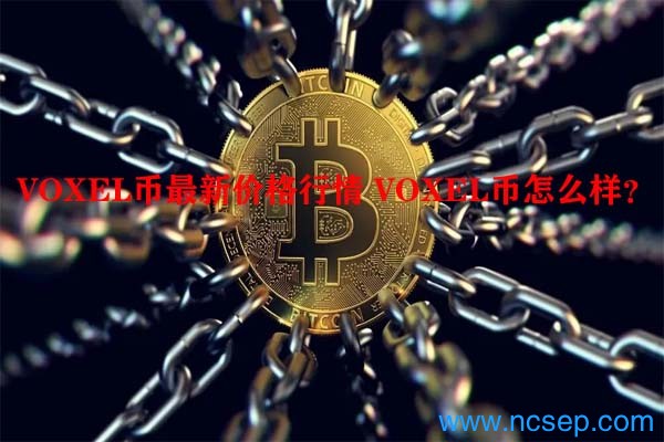 VOXEL币最新价格行情 VOXEL币怎么样？