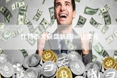 比特币大崩盘暴跌800亿美元