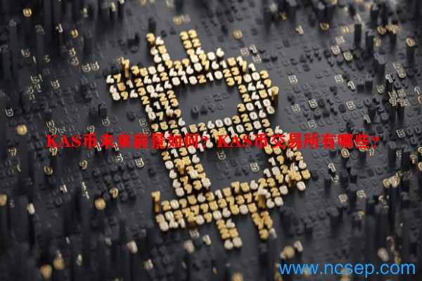 KAS币未来前景如何？KAS币交易所有哪些？