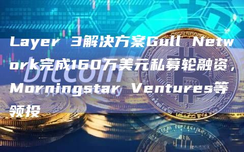 Layer 3解决方案Gull Network完成160万美元私募轮融资，Morningstar Ventures等领投
