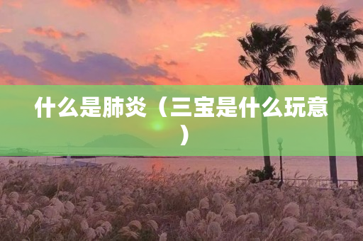 什么是肺炎（三宝是什么玩意）