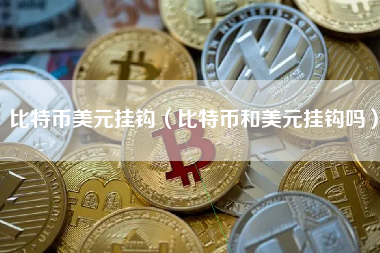比特币美元挂钩（比特币和美元挂钩吗）
