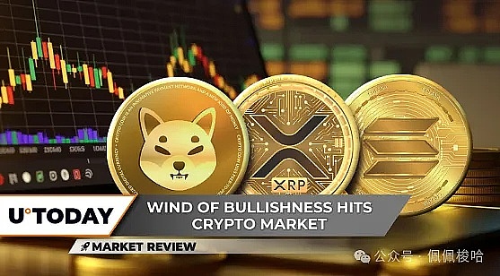 Shiba Inu (SHIB) 即将实现大规模突破 XRP 大幅反弹 26% Solana 锁定 150 美元