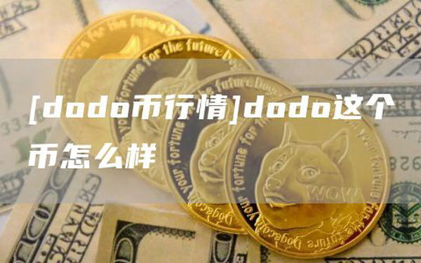 dodo这个币怎么样 dodo币市场行情分析